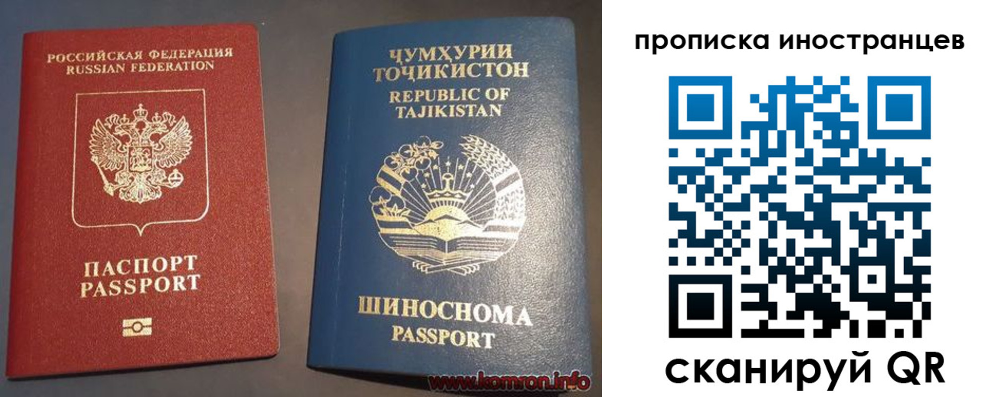 прописка поиск в Владимирской области